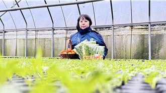 新北女青農攜手在地 自家農場變身食農教育教室