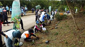 屏東牡丹鄉植樹 200人共織生態綠網 杜英、楓香生根