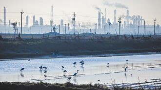 慎防川普變數攪局 台塑四寶3月、Q2營運 將更上層樓