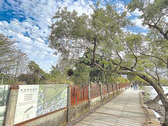 羅東林場時光廊道 新風貌迎客