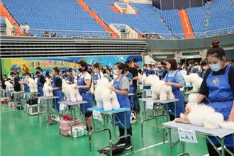 苗栗國際畜犬展登場！品種審查、美容師檢定精彩可期