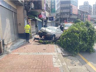 桃園自小客失控撞倒路樹    駕駛、乘客腦震盪