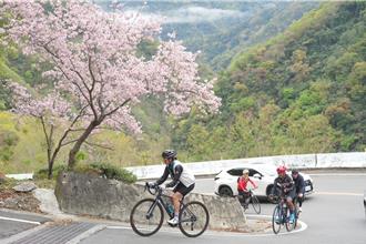桃園北橫櫻花勇士活動第10年 85歲阿公挑戰42.5公里