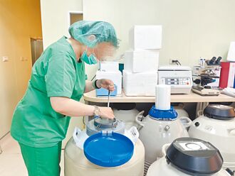 人工生殖修法卡关 冻卵使用率仅4.5％