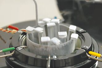 新聞透視》鬆綁法條 圓多元族群求子夢