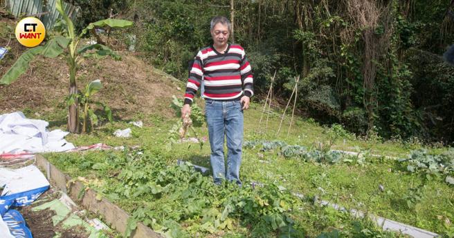 新店高姓农民加入农保近40年，如今只差一年就退休，却因年纪渐长、身体欠佳而缩减耕种面积，而被要求要退出农保。（图／黄威彬摄）