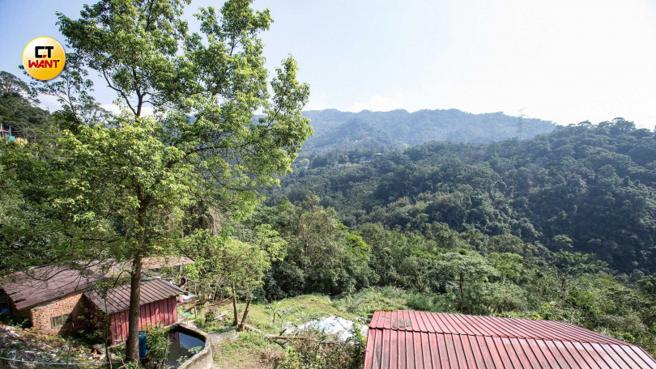 高男先祖世代种茶为业，他也为这块土地奉献一生，如今即将退休，却领不到老农津贴。（图／黄威彬摄）