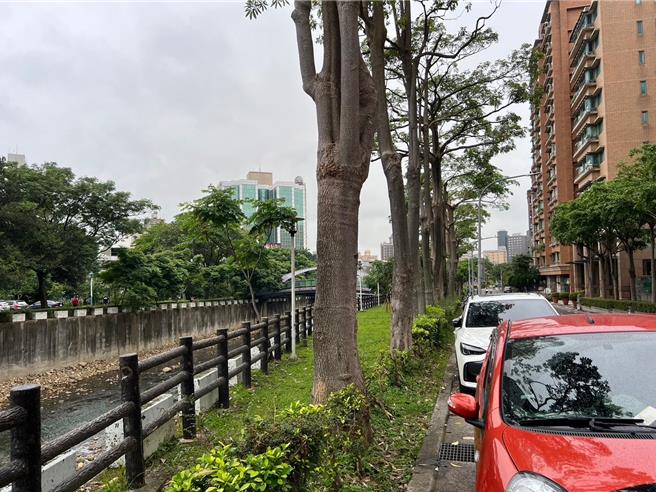 溪畔步道現況缺乏人行空間。（都發局提供／蔡依珍桃園傳真）