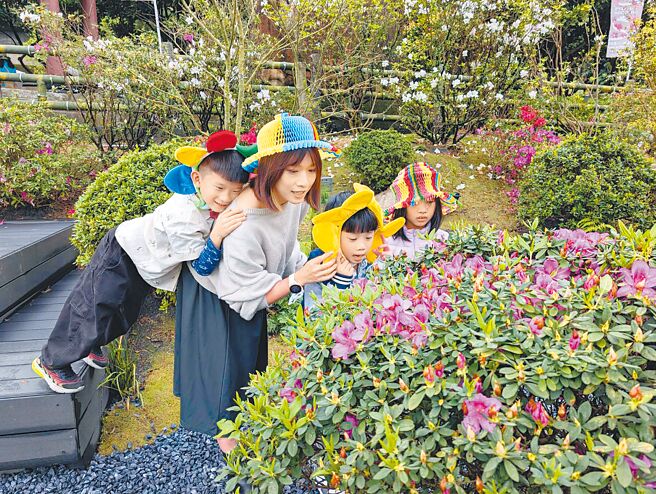 新北市万金杜鹃花展8日举办「花花竞走」活动，民眾别出心裁打扮成杜鹃到展区赏花。（吕健豪摄）