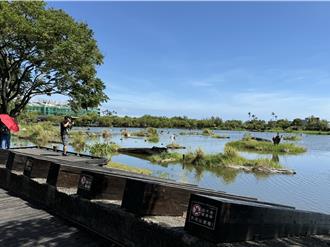 宜蘭羅東林場3／12贈300株苗木 小提琴家周瓦絲里現場演奏