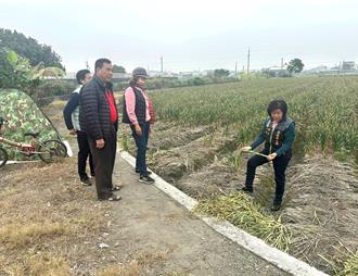 偷蒜頭還割喉殺護田犬引公憤 雲林啟動護蒜專案緝凶