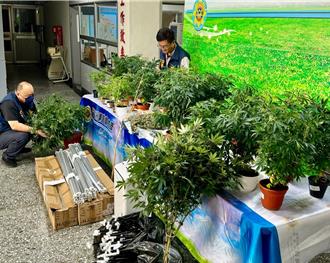 豪宅當掩護！台南、嘉義警聯手破獲3處大麻種植場