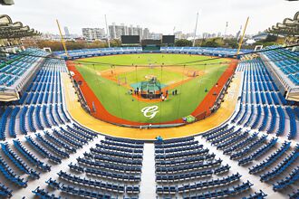 新莊棒球場升級 首創混合草皮