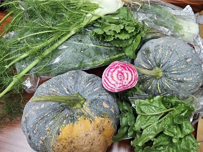 九如乡农会与屏北社区大学无毒班合作，培育抗热品种蔬菜，推出抗热品种的大茴香、甜菜根与台湾型大南瓜。（罗琦文摄）