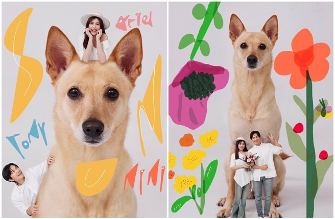 孫協志3日宣布跟夏宇童結婚了。（翻攝孫協志臉書）