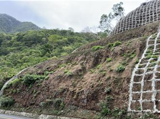 太魯閣震災邊坡重生 原生植物種子球逆境中發芽