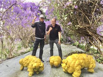 廢材變生態藝術品 埔里鎮山宮旁錫葉藤紫色花海中開展