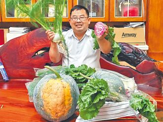 九如农会新种蔬果 抗热又美味