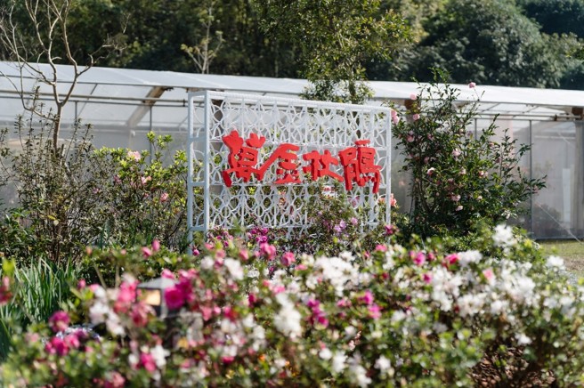 今年的万金杜鹃花展，万里展区种植近2万3,000株杜鹃，还有将近1公里长的杜鹃花廊，邀请民眾前来赏花。（图/新北市政府农业局提供）