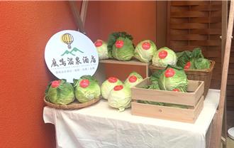 高麗菜盛產價跌 台東飯店「住宿就送菜」挺在地農業