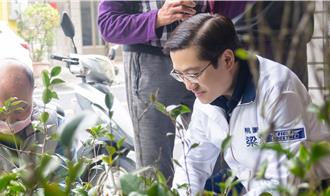 桃園民代發桂花、茶樹苗 植樹節邀民綠美化社區