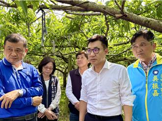 台中桃子僅能收一成損失慘重 市府爭取天然災害救助