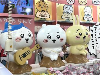 療癒經濟持續延燒 全民瘋IP秘密大公開