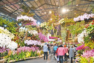 亞太蘭花會議暨台灣國際蘭展 開幕