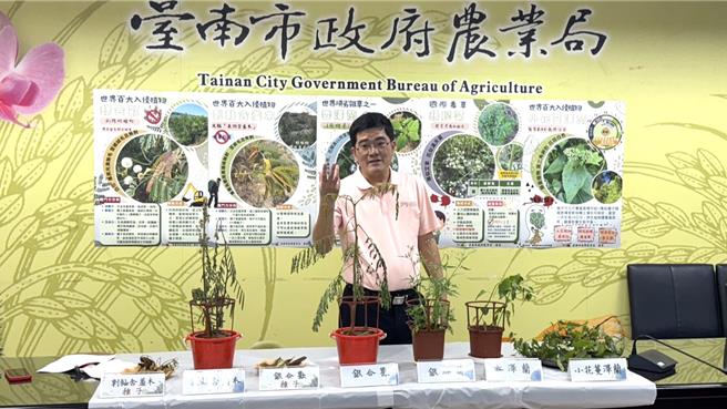 市府农业局森保科科长朱健明12日介绍目前台南5种常见外来入侵植物。（台南市政府农业局提供／张毓翎台南传真）
