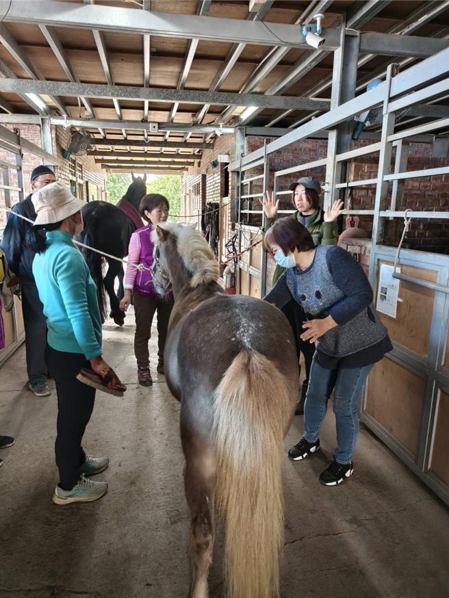 社区长辈们学习马术知识。（王神安提供／李京升台中传真）