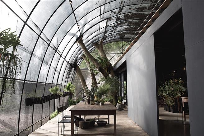 「感知温室 Sensory Lab」将数位艺术与自然生态结合，打造多件互动装置 。（泊人ANKR、洞穴The Cave、后院 Backyard Art Healing提供／徐梓榕台北传真）