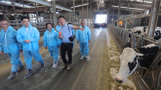 台北市长蒋万安（左二）在彰化县长王惠美（右三）陪同下参访彰化酪农场。（叶静美摄）