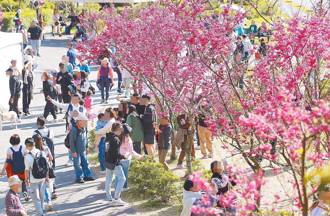 百萬訂閱網紅陽明山「鞭炮嚇蝙蝠」 陽管處出手將開罰