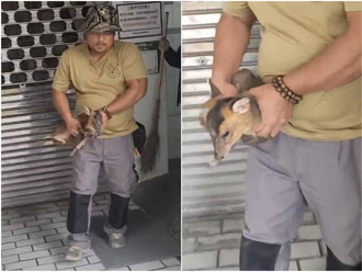 影》玉山南安女廁鬧鬼？尖銳哀嚎嚇壞遊客 竟是「牠」走失大哭