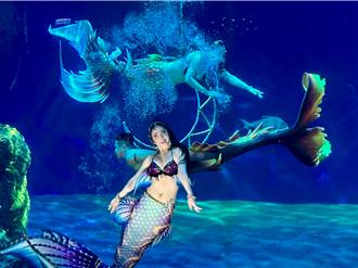 台灣人魚暨水舞表演五月登場 多國百位美人魚花蓮競演