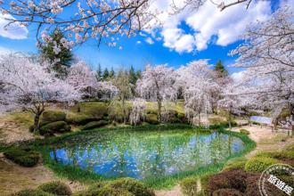 0元機票又來了！越捷航空推優惠 酷航賞櫻航班2199元起