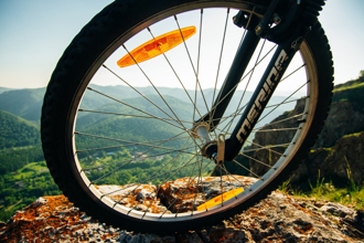 自行車二哥太佛心！去年每股虧損2.34元 竟豪發4元股利