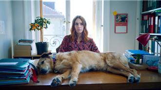 取自真實案件！地球人控告汪星人 神犬Kodi超強演技坎城獲獎