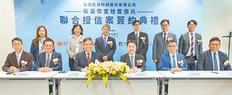 泓德能源11億聯貸 新光銀主辦