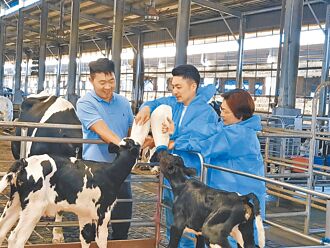 生生喝鮮乳 蔣萬安：對的事要堅持