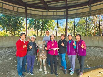 台中 溪洲长辈领骑导览 推广马术