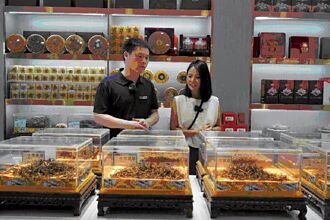 神醫華陀之鄉 半部三國史