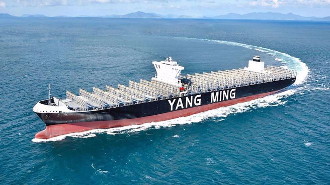 昨（12）日公布最新股利政策的上市柜公司多达145家；其中，阳明将配发现金股利7.5元，按昨日收盘价72.9元计算，殖利率衝上10.29%，在145家中名列第一。（本报系资料照）