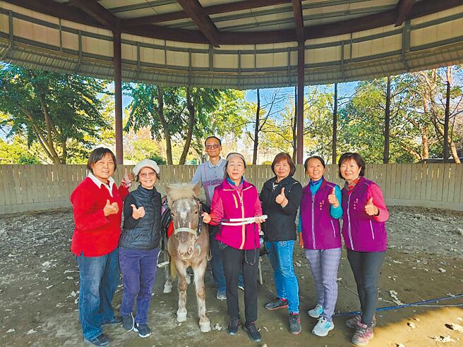 台中市神冈溪洲社区长辈们今年1月起透过训练成立「领骑队」，已有7人成为训练有素的马匹领骑员。（王神安提供／李京升台中传真）