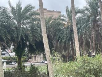 傅崐萁轟北檢：違法搜索票「帶走種花草員工」