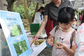 野柳兒童節推廣植物生態 永續旅遊寓教於樂