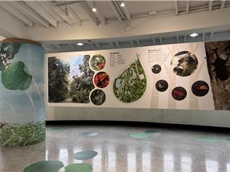 濕地故事館教育特展3／16登場 探索漳和濕地生態之美