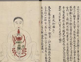 故宮「身體展演」特展 透視古人眼中身體的多重意涵