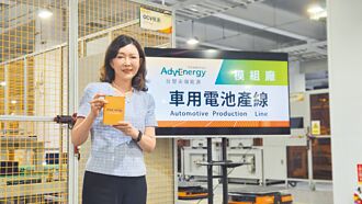 王瑞瑜：新能源期待政府多關愛