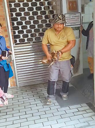 小山羌迷路 躲玉山南安女廁鬼哭